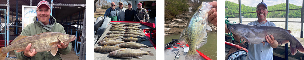 Beaver Lake Walleye Adventure - Arkansas fishing trips on Beaver Lake, White River & Kings River.