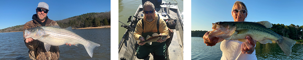 Guided Fishing Packages - Arkansas fishing trips on Beaver Lake, White River & Kings River.